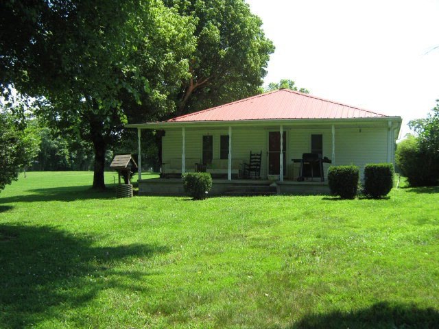 Main View