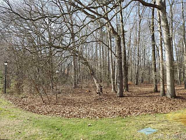 Other - Lot can front either Village Lake or Water