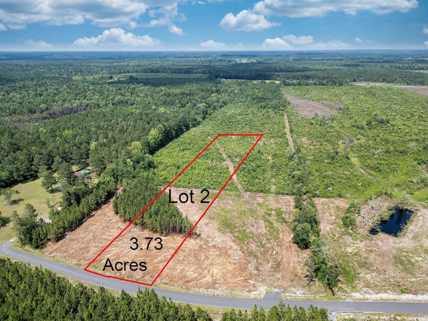 TBD Bellaire Dr unit Lot 2, Nichols, SC 29581 - photo 1