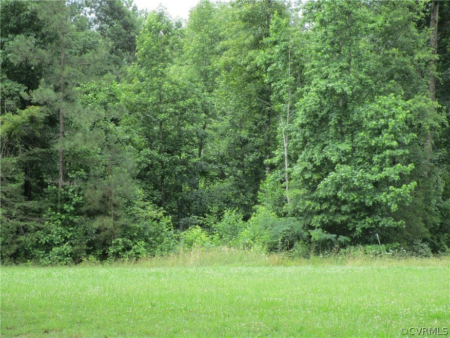 0 C Rd unit 1822497, Caroline, VA 22546 - photo 1