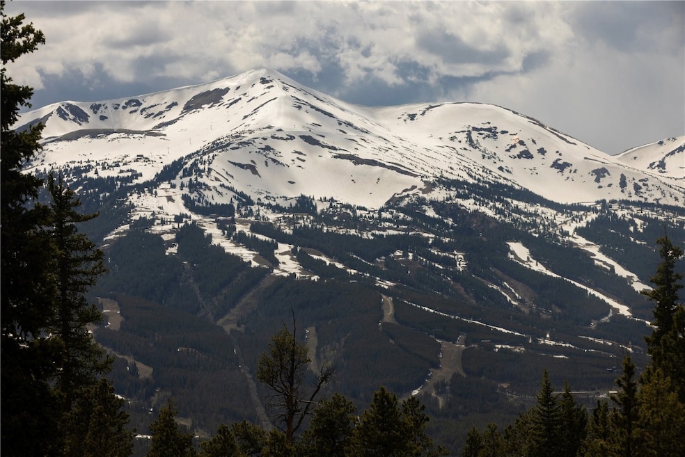 1120 Baldy Rd, Breckenridge, CO 80424 - photo 1