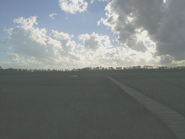 1215 Sea Palms West Dr, St. Simons Island, GA 31522 - photo 1