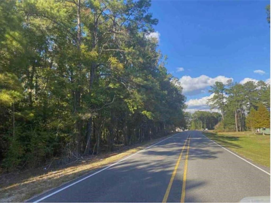 24075 Blood River Rd, Springfield, LA 70462 - photo 1