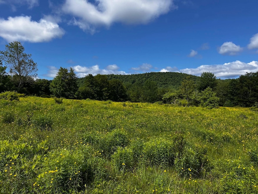 0 Stimpson Hill Rd, Whitingham, VT 05361 - photo 1