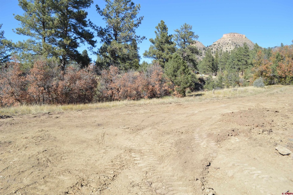 181 Wild Chives Ct, Durango, CO 81122 - photo 1
