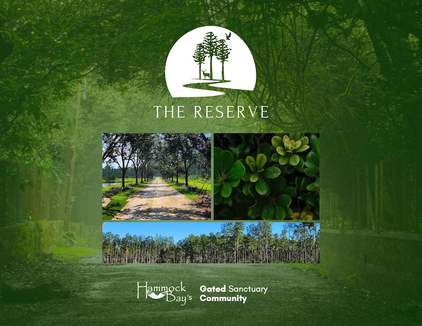 Lot 36 Reserve at Hammock Bay, Freeport, FL 32439 - photo 1