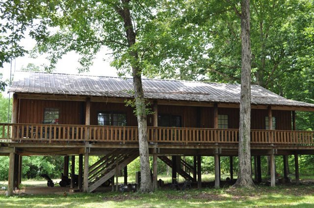 Main View