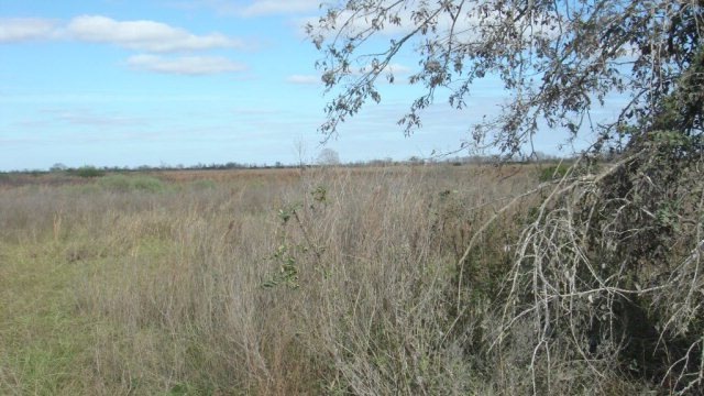 0000 Bucks Bayou Rd, Bay City, TX 77414 - photo 1