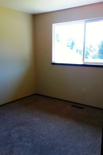 14803 224th St E, Graham, WA 98338 - photo 1