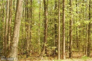 8326 Quicks Way, Spotsylvania, VA 22551 - photo 1