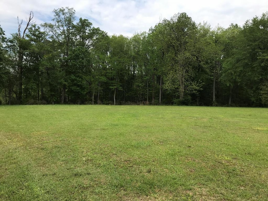 3.34 Ac Brookshaven Subdivision, Claxton, GA 30417 - photo 1