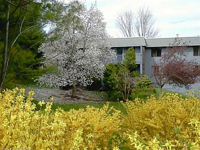 Exterior Back.