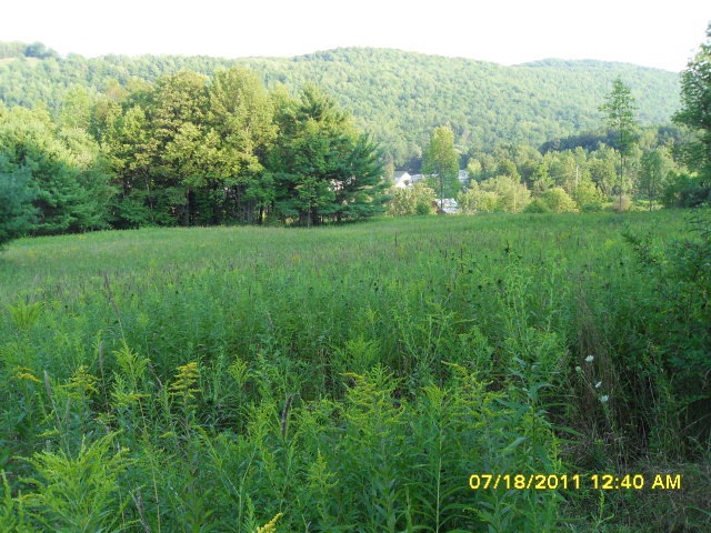 0 State Route 417 unit 227462, Greenwood, NY 14839 - photo 1