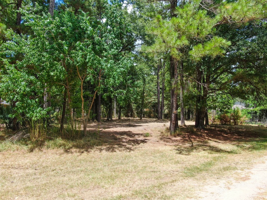 TBD E Forest Ct, Conroe, TX 77384 - photo 1