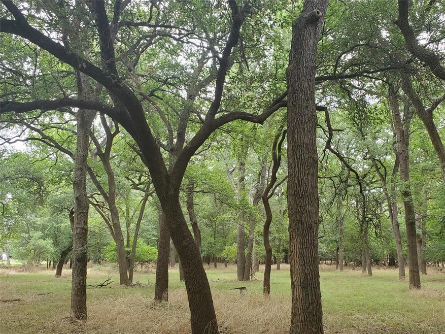 000 Horseshoe Bend Ct, Weatherford, TX 76087 - photo 1