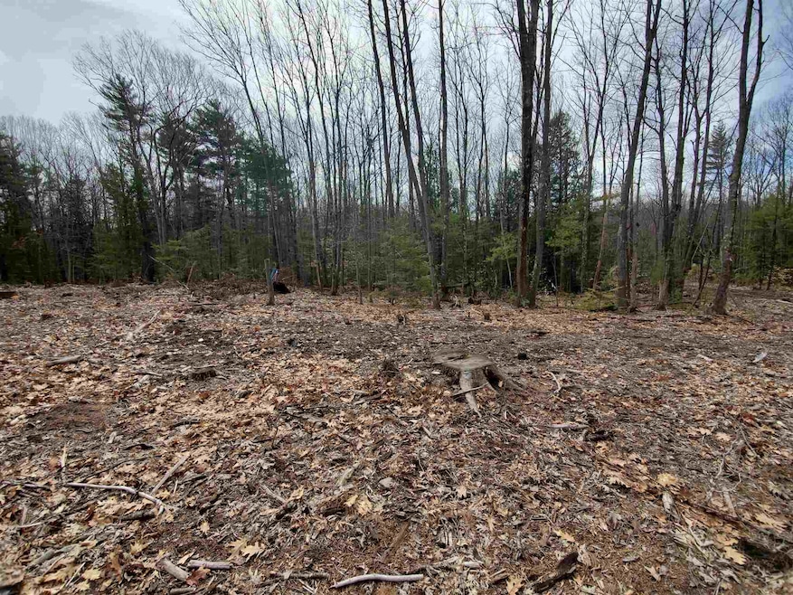 837 Old County Rd N, Deering, NH 03244 - photo 1