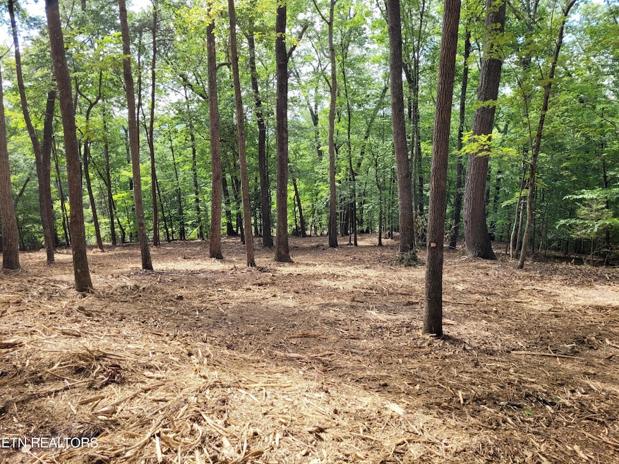 0 Lot 146 & 147 Lakeview Dr unit 1311025, Sharps Chapel, TN 37866 - photo 1