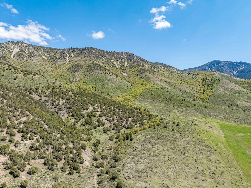 TBD Quail Way, Lava Hot Springs, ID 83246 - photo 1