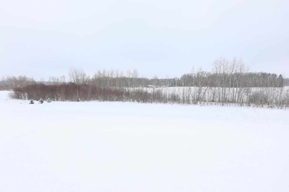 TBD Tasha Dr NW, Garfield, MN 56332 - photo 1