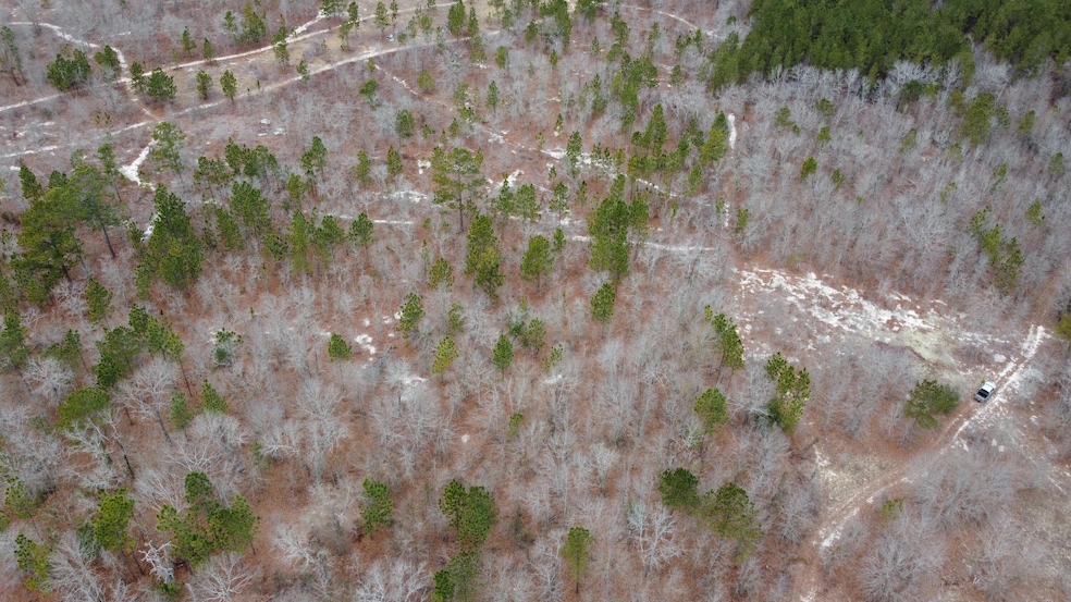 DJI_0594