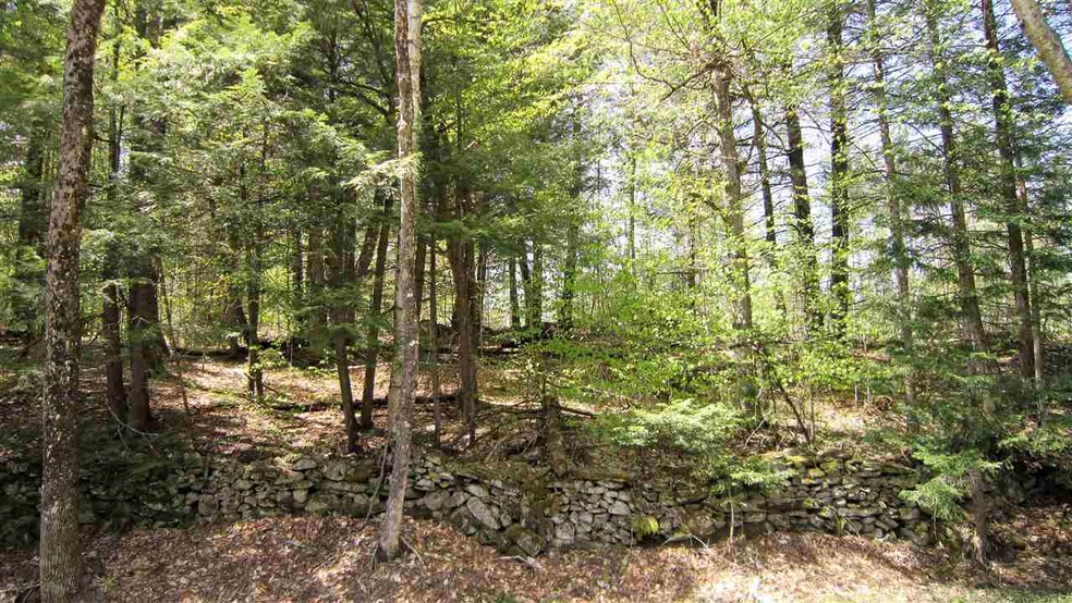 5062 20 Mile Stream Rd, Cavendish, VT 05153 - photo 1