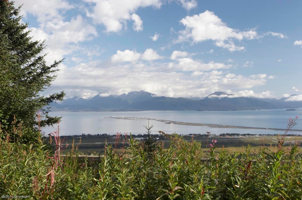 Homer Spit View
