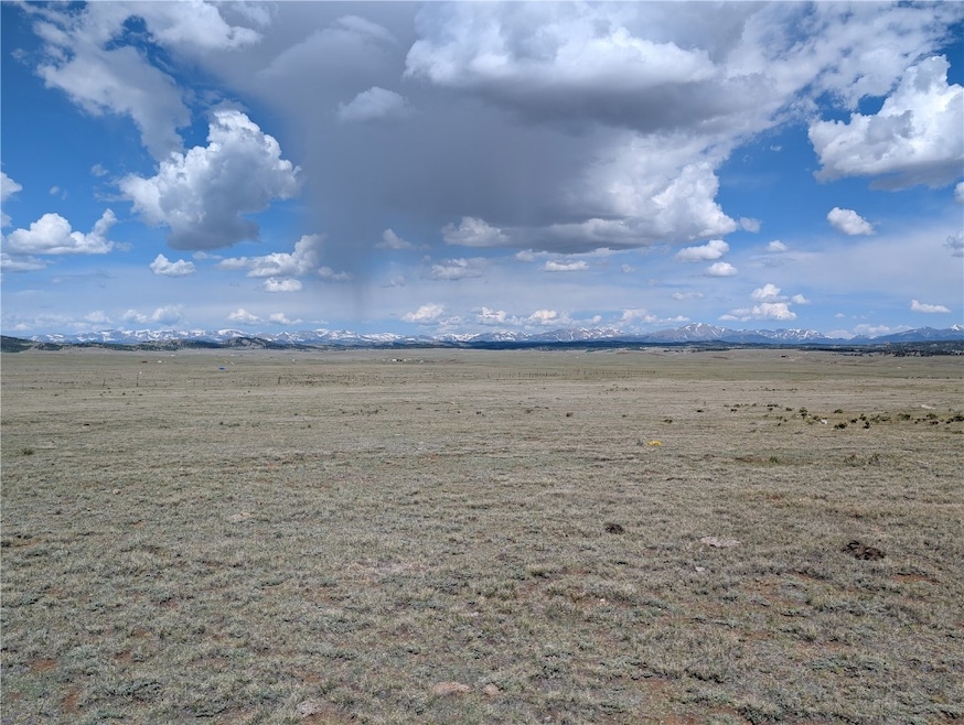 1920 Badger Basin Rd, Hartsel, CO 80449 - photo 1