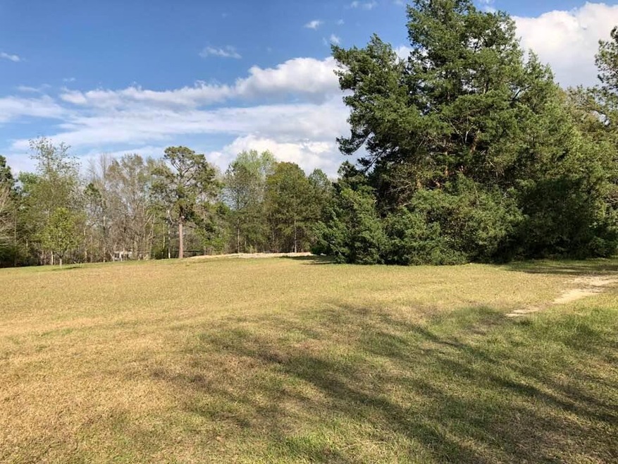 944 Conway McDonald Rd, Tarrytown, GA 30470 - photo 1