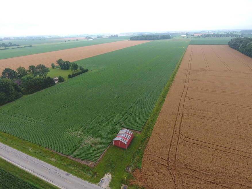 DJI_0296w