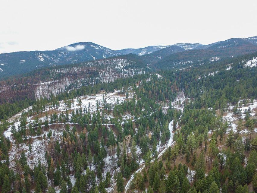hardy ridge 2