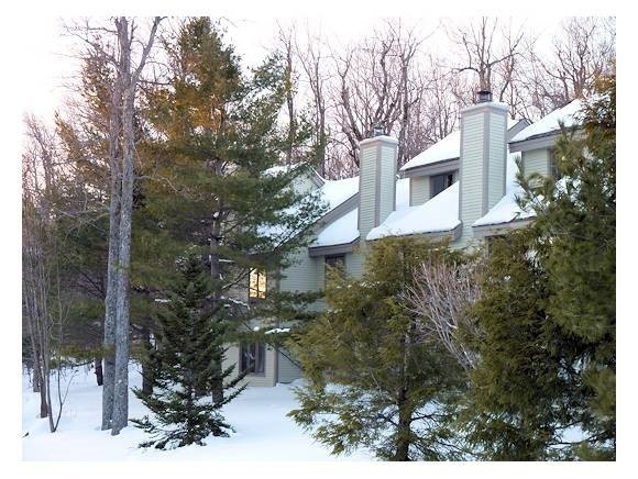 H5 Sugar Brook Rd unit H5, Peru, VT 05152 - photo 1