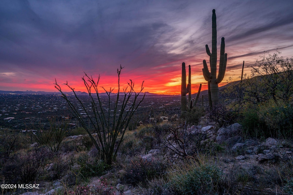 12979 E Cabeza de Vaca St unit Lot E, Tanque Verde, AZ 85749 - photo 1