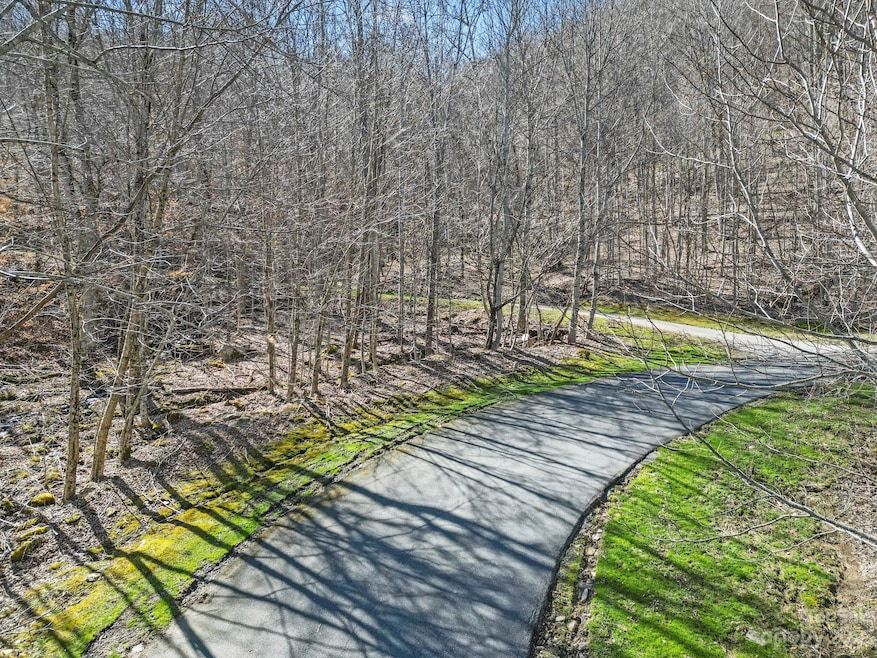 16 Chestnut Village unit 16, Mars Hill, NC 28754 - photo 1