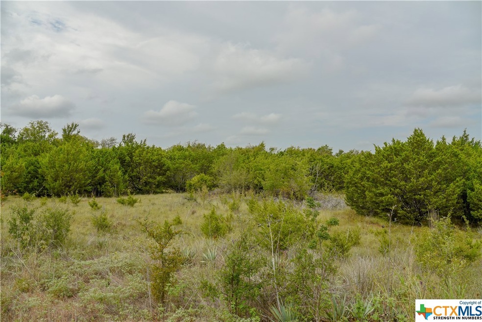 1535 Lutheran Church Rd, Copperas Cove, TX 76522 - photo 1