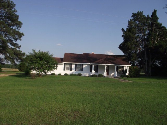 Main View