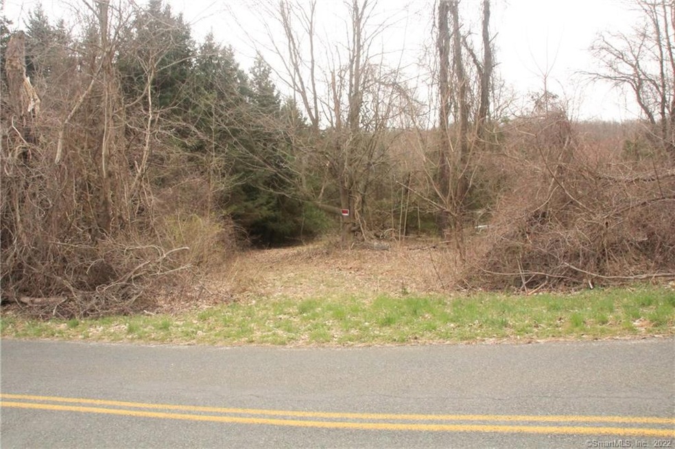 0 Bassett Rd unit 170290920, Watertown, CT 06795 - photo 1