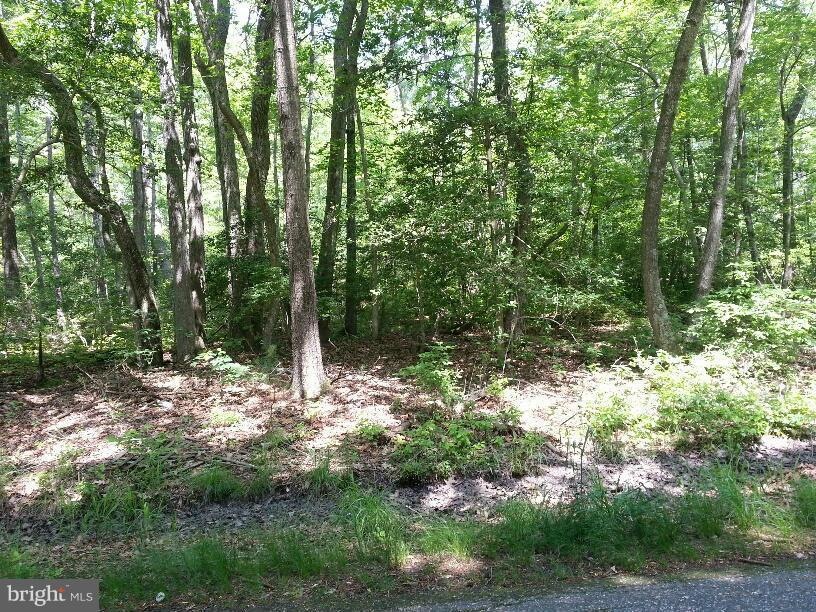 0 Ninth St unit 1000407897, Colonial Beach, VA 22443 - photo 1