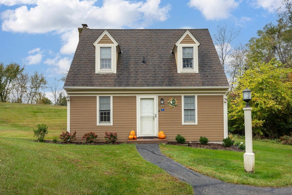 21 Thatcher Ln, Galena, IL 61036 - photo 1