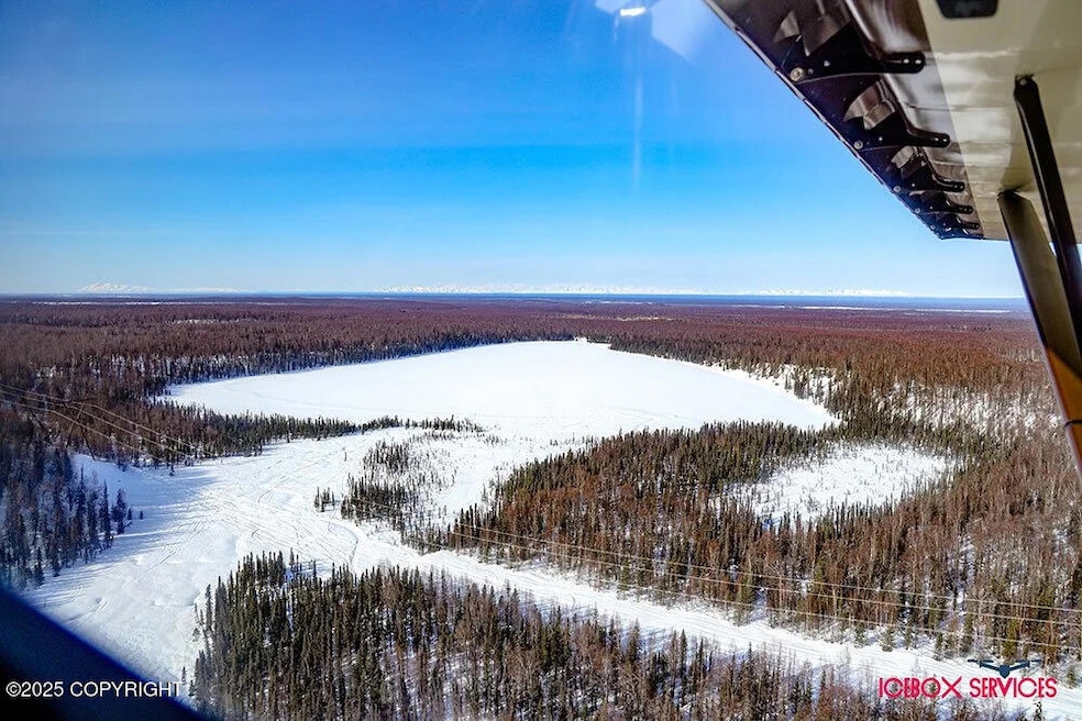 21577 E Quarah Lake Ave, Talkeetna, AK 99676 - photo 1