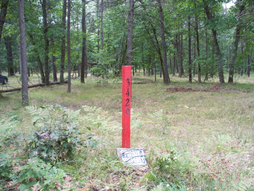 3429 W 16th St, Baldwin, MI 49304 - photo 1