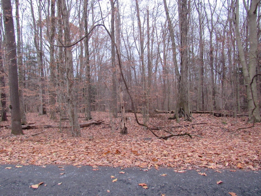 25 136 Biscayne Rd, Dubois, PA 15801 - photo 1