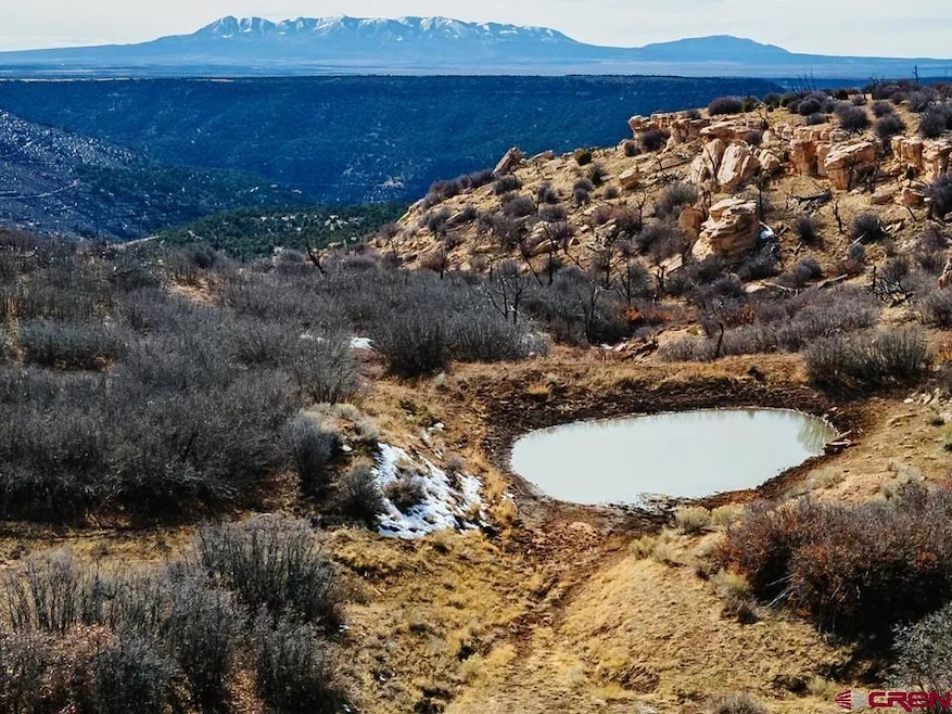 11204 Colorado 141, Egnar, CO 81325 - photo 1