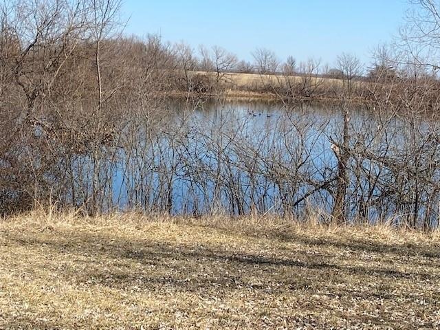 Looking east over the lake