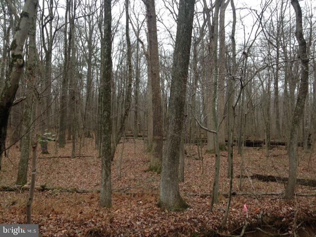 7510 Hillmeade Rd, Glenn Dale, MD 20720 - photo 1