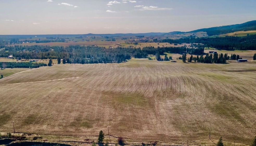 13505 E Gibbs Rd, Valleyford, WA 99023 - photo 1