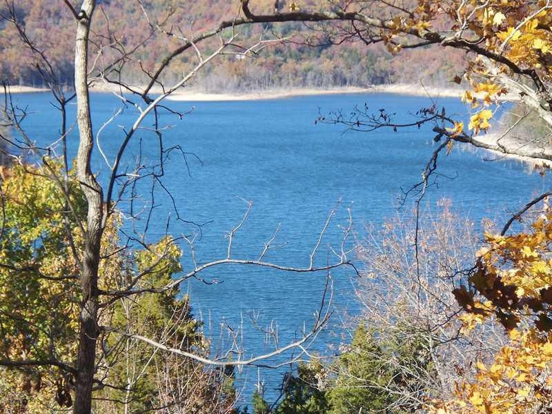 View. Excellent Beaver Lake View across Henry Hollow Arm