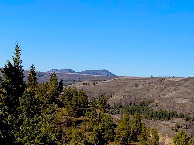 31775 Ruffed Grouse Dr E, Davenport, WA 99122 - photo 1