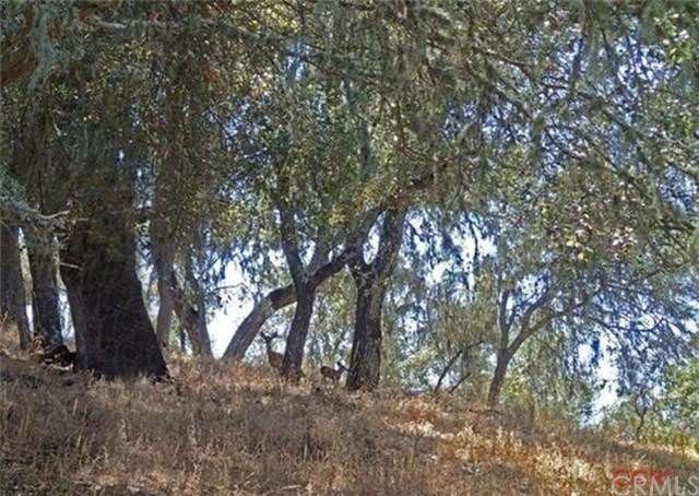 2.1 acre westside parcel with oaks and wildlife. C