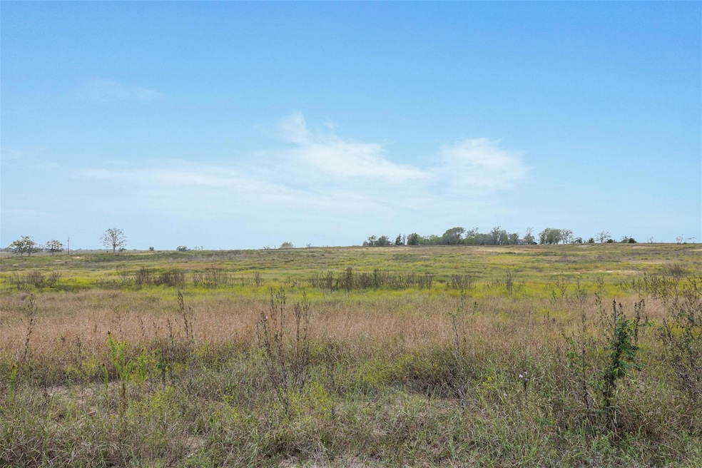 Lot 1 County Road 335, Shiner, TX 77984 - photo 1