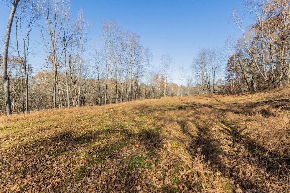 1548 Rabe Coats Rd, Westmoreland, TN 37186 - photo 1